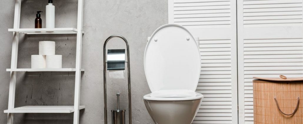 toilet draining slowly image 1